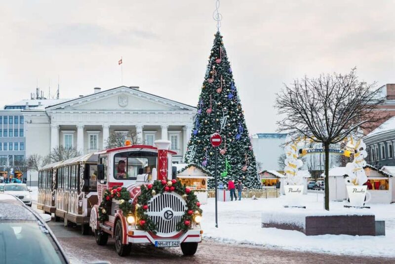 Private Walking Tour Around Vilnius During Christmas Time - Discovering Vilnius Presidential Parks Festive Illumination
