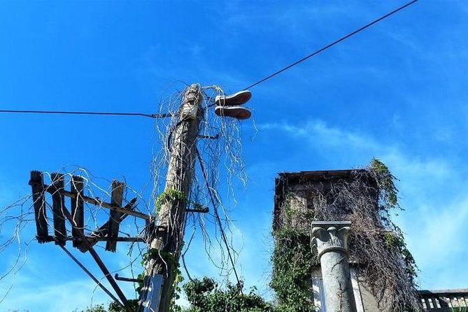 Private Walking Tour Dubrovnik - Hidden Streets of the Old Town - Key Points