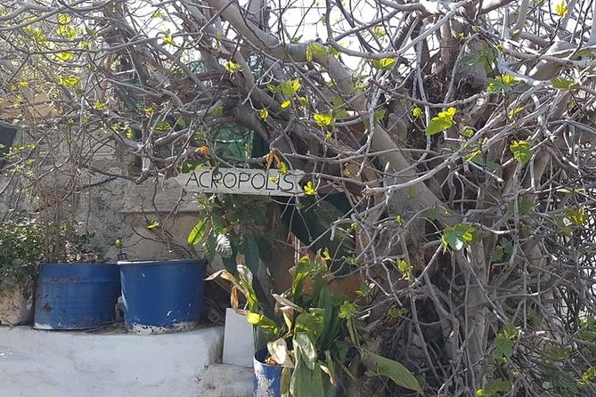 Private walking tour- Enjoy a Sunset Tour in Plaka - Timing and Pacing of the Tour