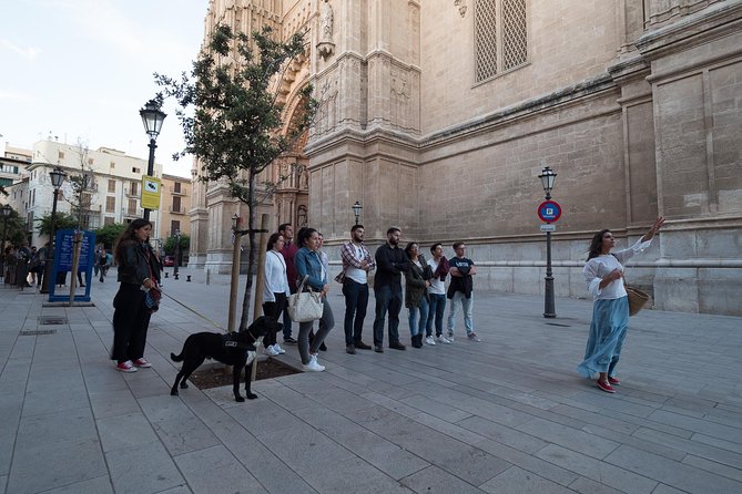 Private walking tour in Palma de Mallorca with local guides. - Palma’s Private Walking Tour: A Solid Choice for Intimate Discovery