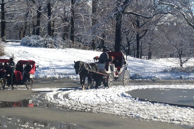Private Walking Tour: Jewish Colonial History in New York City - Logistics, Accessibility, and Booking Details