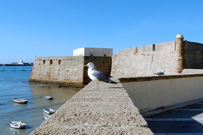 Private Walking Tour of Cadiz: includes Tavira Tower - The Cádiz Experience at a Glance: Practical Details
