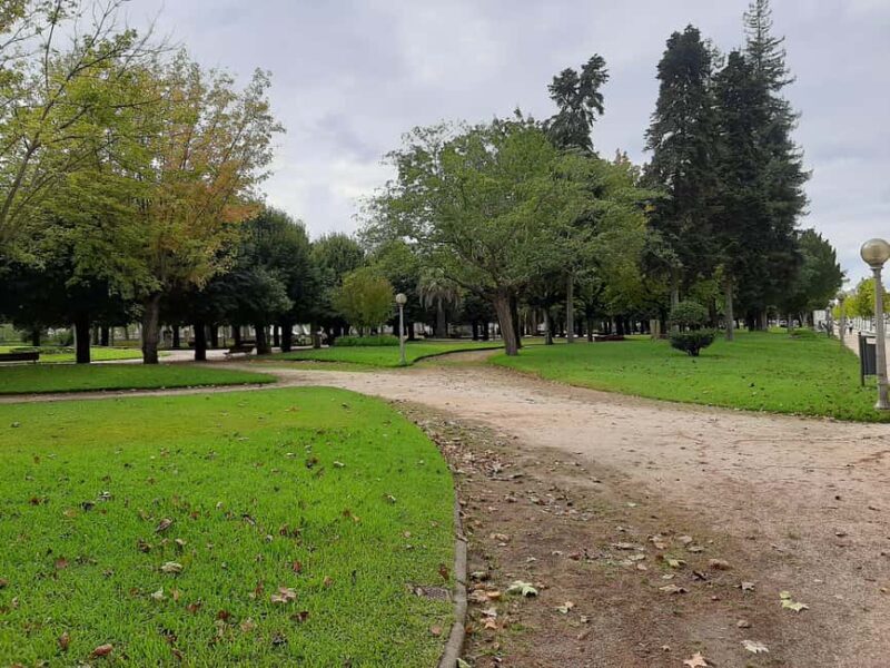 Private walking tour of Coimbra (8 hours) - Visiting the Santa Cruz Monastery and Its Historical Significance