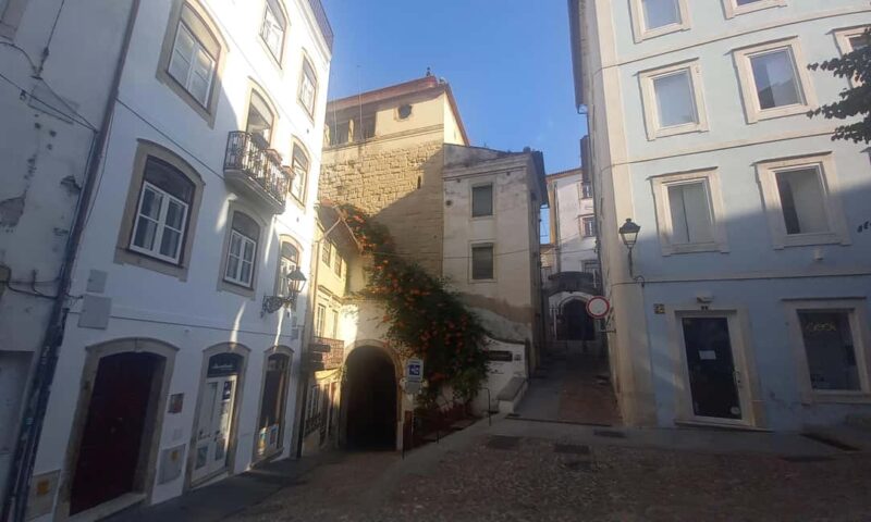 Private walking tour of Coimbra (8 hours) - Discovering the Machado de Castro Museum and Its Art Collections