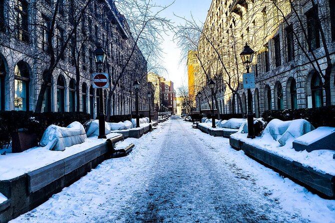 Private Walking Tour of old Montreal with licensed tour guide - Logistics and Customization