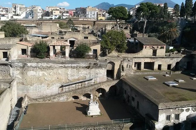 Private Walking Tour through the Historical City of Herculaneum - Practical Details: Meeting Point, Duration, and Accessibility