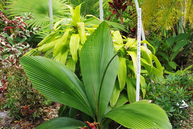 Private Walking Tour to St. John's Botanical Garden - The Tiki Key and Blue Lagoon: Waterfront Views