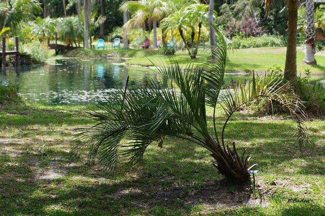 Private Walking Tour to St. John's Botanical Garden - Rare Plant Nursery and Independent Garden Exploration