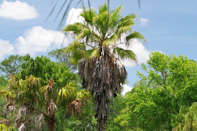 Private Walking Tour to St. John's Botanical Garden - Why Choose This Tour?