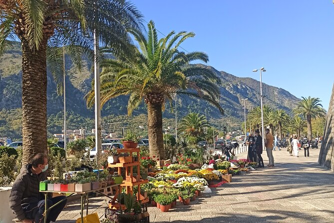 Private Walking tour with Wine and Food - Discovering Kotor’s Architectural and Cultural Highlights