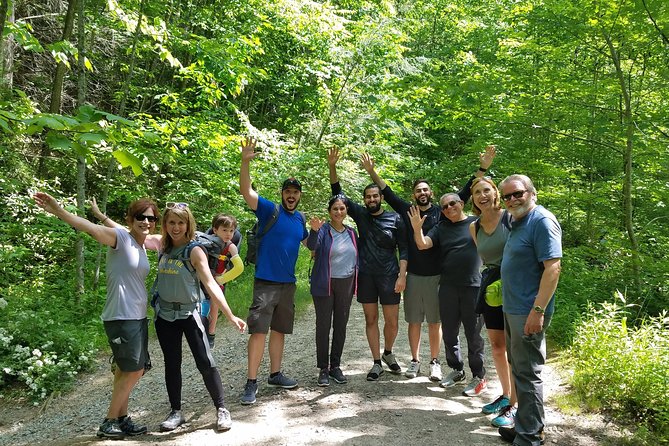 Private Waterfall and Blue Ridge Parkway Tour with a Naturalist - Visiting the Multi-Tiered Waterfalls in Pisgah National Forest