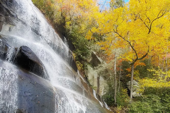 Private Waterfall and Blue Ridge Parkway Tour with a Naturalist - Highlights of Waterfalls and Hidden Pools