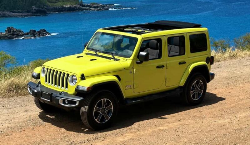 Private West Maui Coastline Open-Air Jeep Tour - Experience Mauis West Coast in Style with a Private Open-Air Jeep Tour