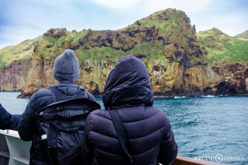 Private Westman Islands with Puffins and Belugas (Up to 8p) - Encounter with Beluga Whales at the Sanctuary