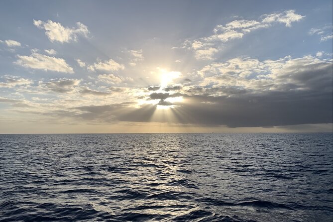 Private Whale Watching and Dolphin Excursion - Departure Point and Local Access