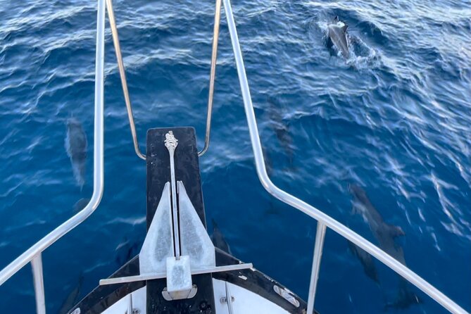 Private Whale Watching and Dolphin Excursion - The Crew and Guides: From Inexperienced to Excellent