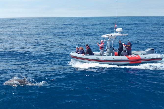 Private Whale Watching in San Diego on a Premium Zodiac - Booking and Cancellation Policies