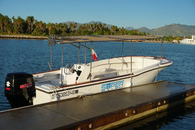 Private Whale Watching in San José del Cabo - San José del Cabo: The Perfect Setting for Whale Watching