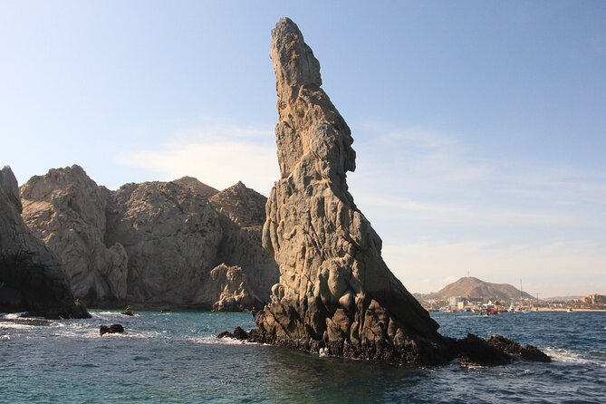 Private Whale Watching Panga Tour in Cabo San Lucas - Refreshments and Snacks on Board