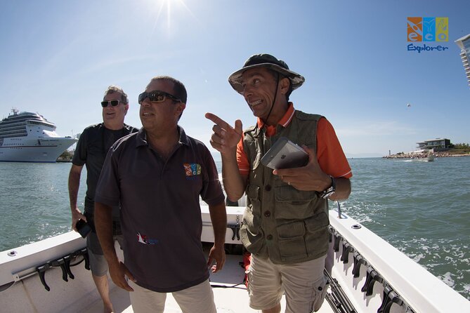 Private Whale watching Puerto Vallarta - Key Points