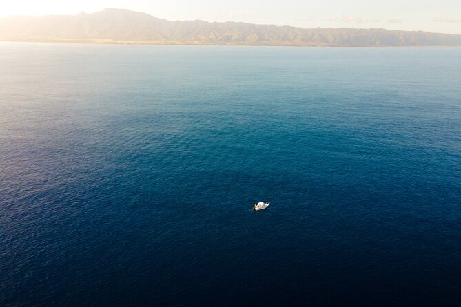 Private Whale Watching Tour of Oahu - Flexibility with Cancelation and Weather Considerations