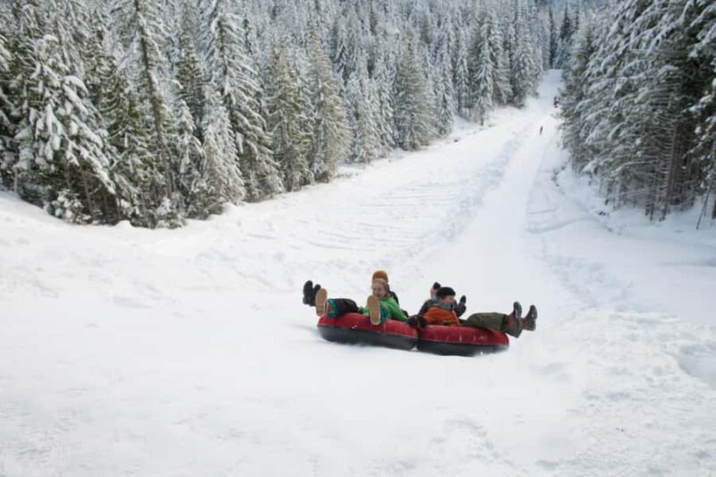Private Whistler+Sea2 Sky Gondola+Shanon Fall+Green LakeTOUR - Shannon Falls: BC’s Third-Highest Waterfall