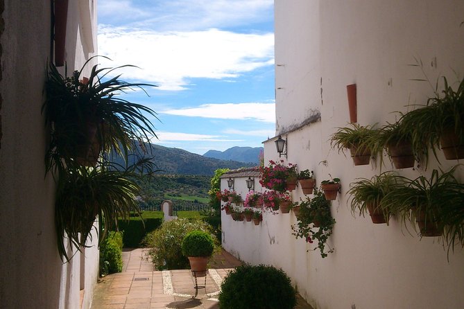 Private White Villages & Ronda Day Tour from Seville - Key Points
