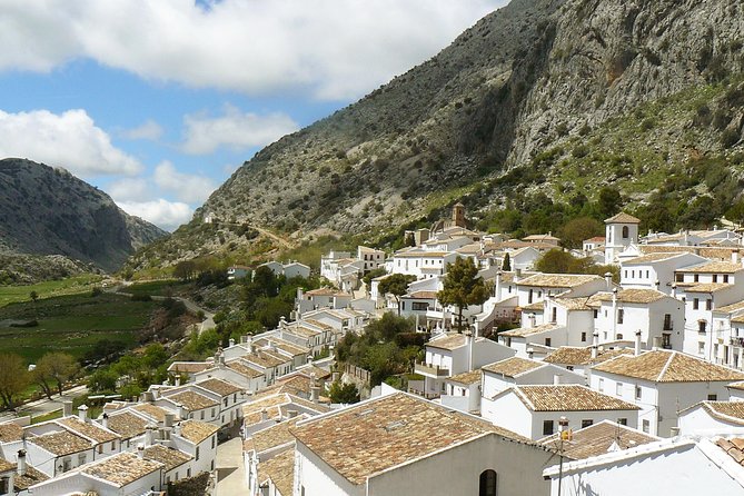 Private White Villages & Ronda Day Tour from Seville - Practical Details and Booking Insights