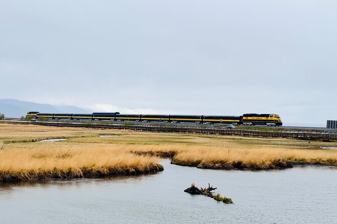 Private Whittier Cruise Transit Tour With AWCC - Up-Cclose Encounters at the Alaska Wildlife Conservation Center