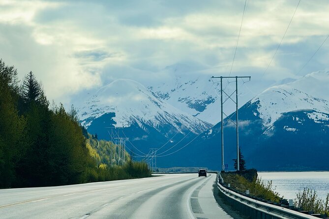 Private Whittier Cruise Transit Tour With AWCC - Beluga Point for Dramatic Tidal Views and Beluga Sightings