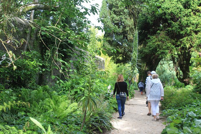 Private Wicklow Mountains Day Tour - Exploring Powerscourt House & Gardens