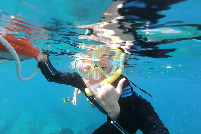 Private Wild Dolphin Encounter Day Trip - Flexibility and Booking Details