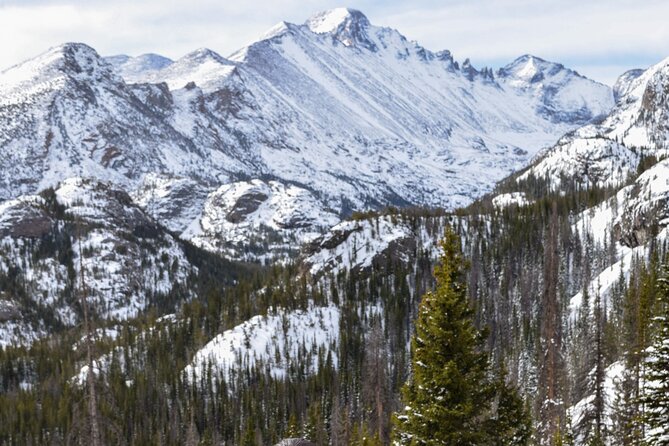 Private Wildlife Hiking Tour in Rocky Mountain National Park - Wildlife and Nature Highlights on the Trails