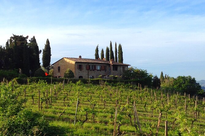 Private Wine and Extra Virgin Olive Oil Tasting - Logistics: Meeting Point and Tour Format