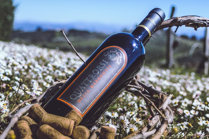 Private Wine and Extra Virgin Olive Oil Tasting - Price and Booking Insights