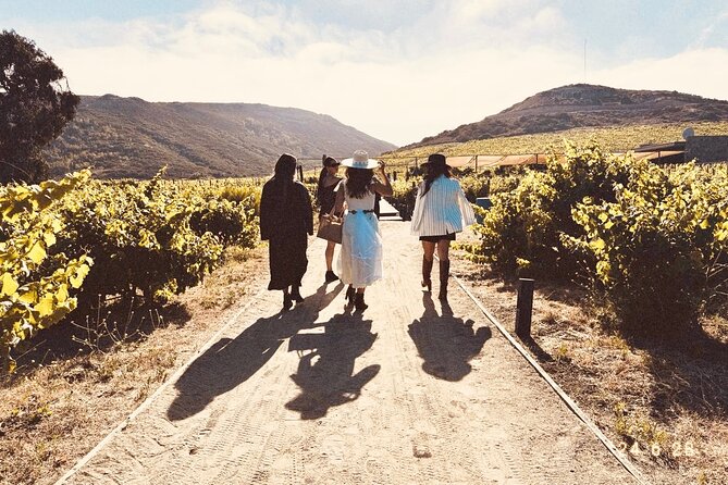 Private Wine and Gastronomic Tour in Valle de Guadalupe - Key Points