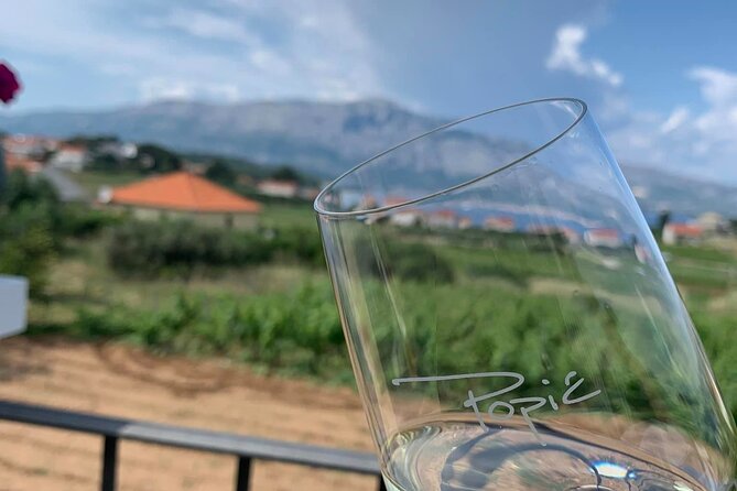 Private Wine and Gin Tour Around the Island of Korcula - Driving Through Lumbardas Vineyards and Visiting a Family-Owned Winery