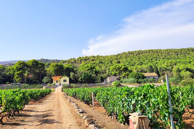 Private Wine and Gin Tour Around the Island of Korcula - Savoring the Unique Grk White Wine in Lumbarda
