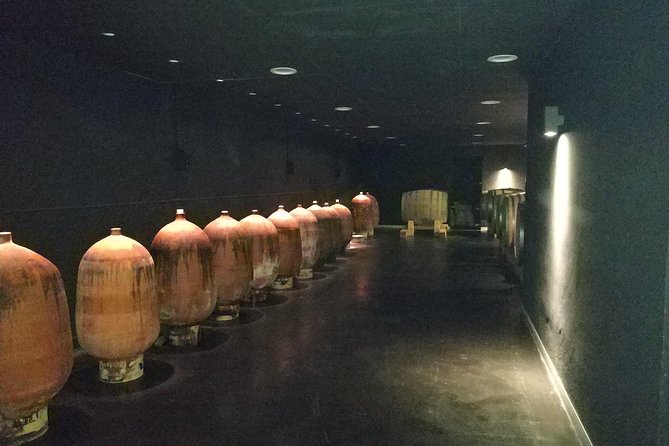 Private Wine & Cava Tasting Tour In Penedes with hotel pick up - Key Points