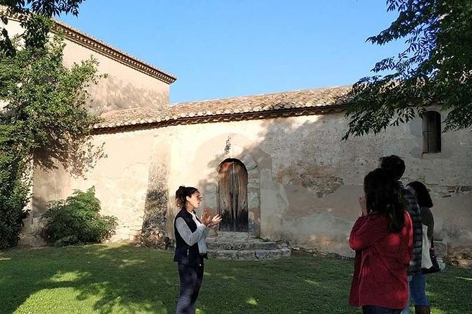 Private Wine & Cava Tasting Tour In Penedes with hotel pick up - Second Stop: Sparkling Cava at Sant Pau dOrdal