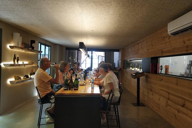 Private Wine & Cava Tasting Tour In Penedes with hotel pick up - Tasting Experience: Wines and Cavas Paired with Gourmet Snacks