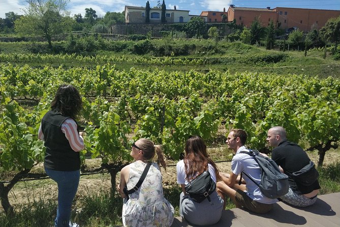 Private Wine & Cava Tasting Tour In Penedes with hotel pick up - Comfortable Transportation and Additional Inclusions