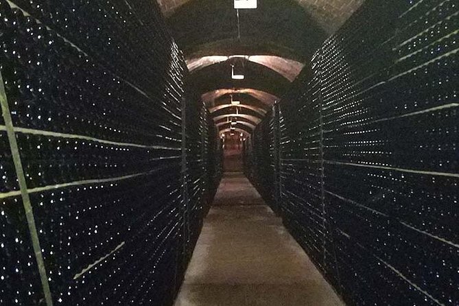 Private Wine & Cava Tasting Tour In Penedes with hotel pick up - Managing Expectations and Considerations