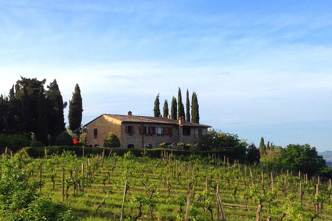 Private Wine & Evo oil tasting with Saffron Meal - The Setting: Breathtaking Countryside Views