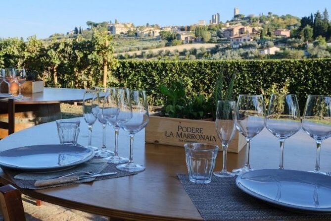 Private wine & EVO Oil Tasting with Tuscan Meal - The View and Atmosphere: Relaxing and Picturesque