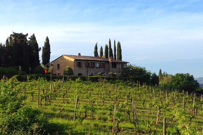 Private wine & EVO Oil Tasting with Tuscan Meal - Limitations to Consider