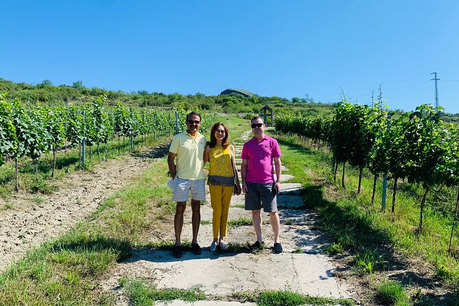 Private wine, food & heritage tour from Prague to Bohemia - Key Points