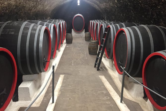 Private wine, food & heritage tour from Prague to Bohemia - The Guide’s Expertise and Personal Approach