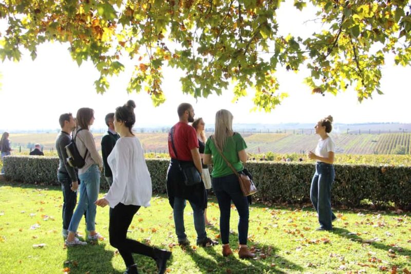 Private Wine & Museum Tour at Gerovassiliou Winery - Private Wine & Museum Tour at Gerovassiliou Winery: An Overview