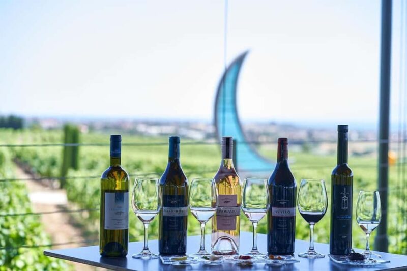 Private Wine & Museum Tour at Gerovassiliou Winery - Exploring Gerovassiliou Vineyards and Winery Grounds